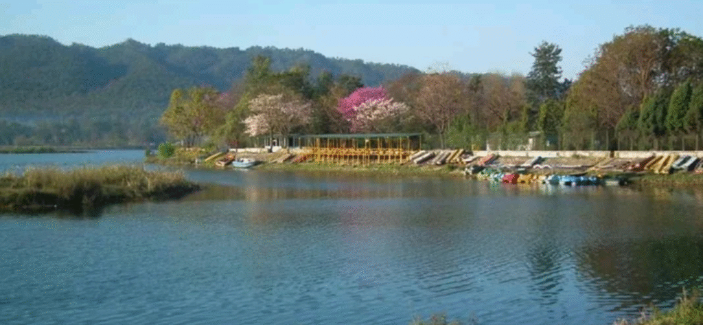 Asan Barrage - Dehradun 2