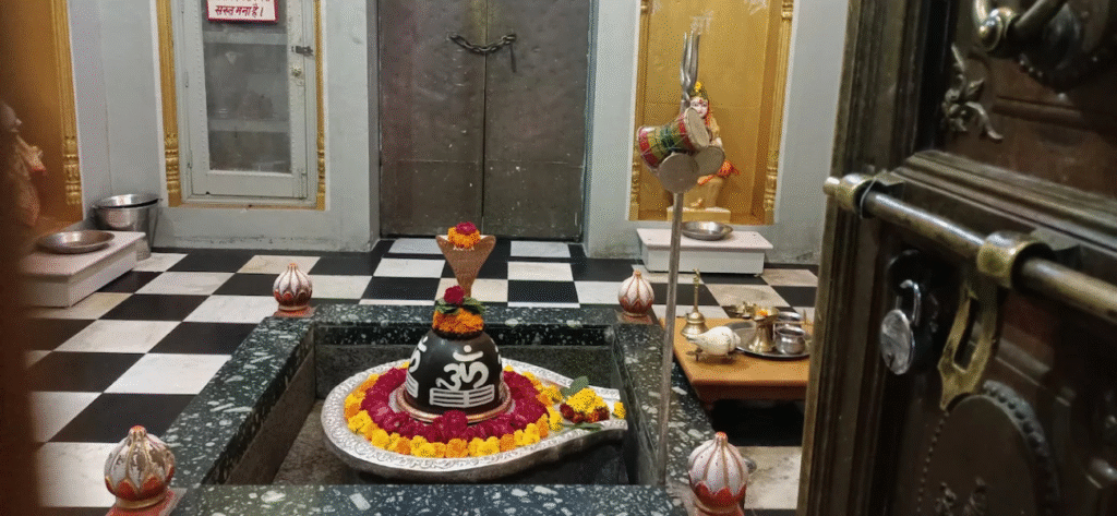 Parad Shivling (Harihar Ashram) - Haridwar 3