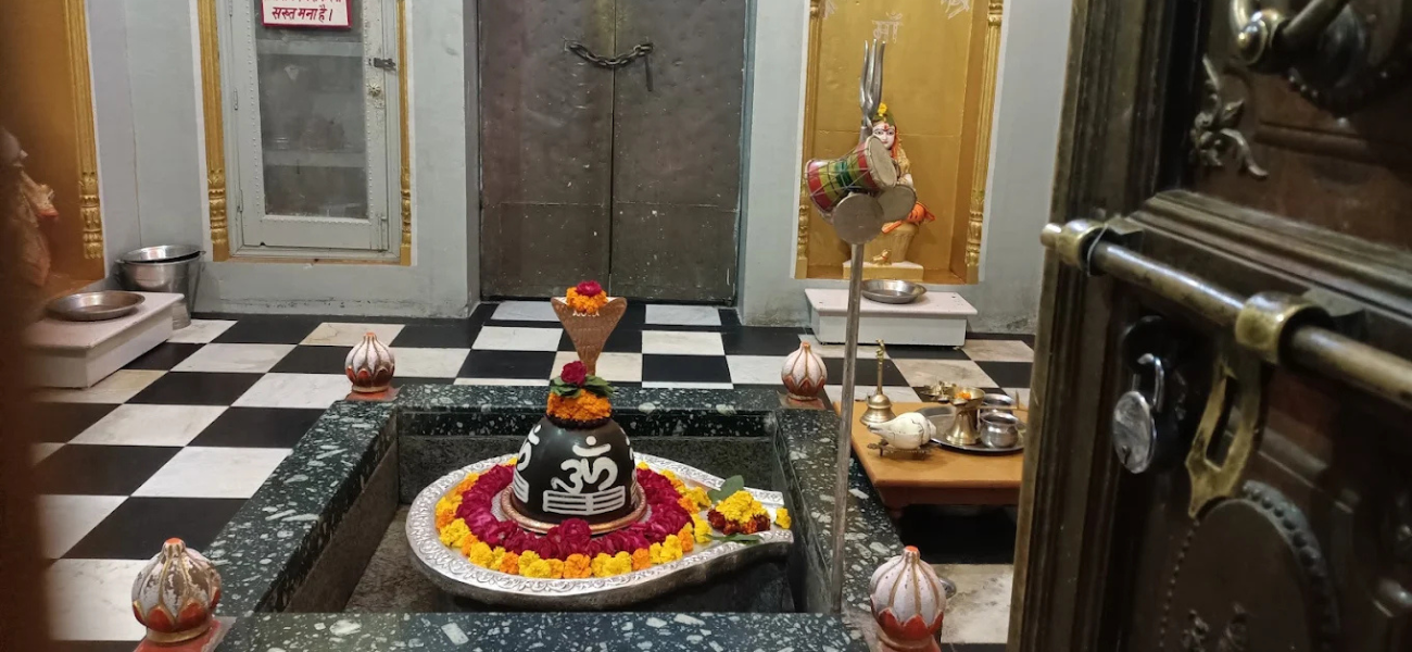 Parad Shivling (Harihar Ashram) - Haridwar 1