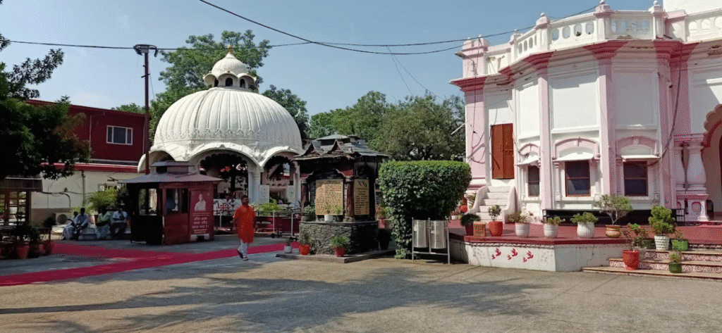 Parad Shivling (Harihar Ashram) - Haridwar 2