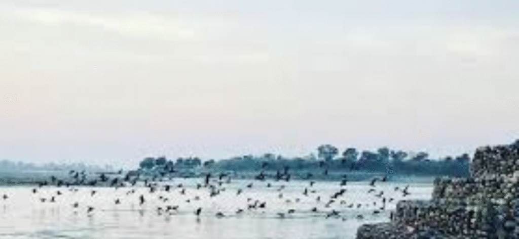 Neel Dhara Pakshi Vihar - Haridwar 2