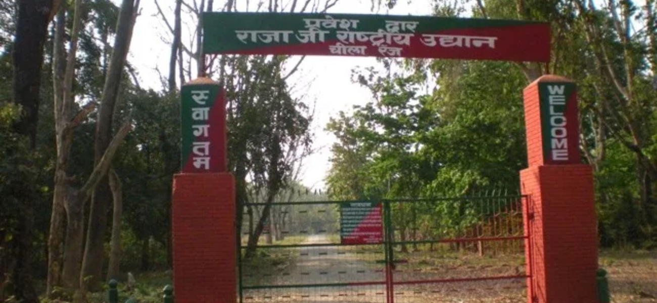 Rajaji National Park - Rishikesh 5 Rajaji National Park – Rishikesh