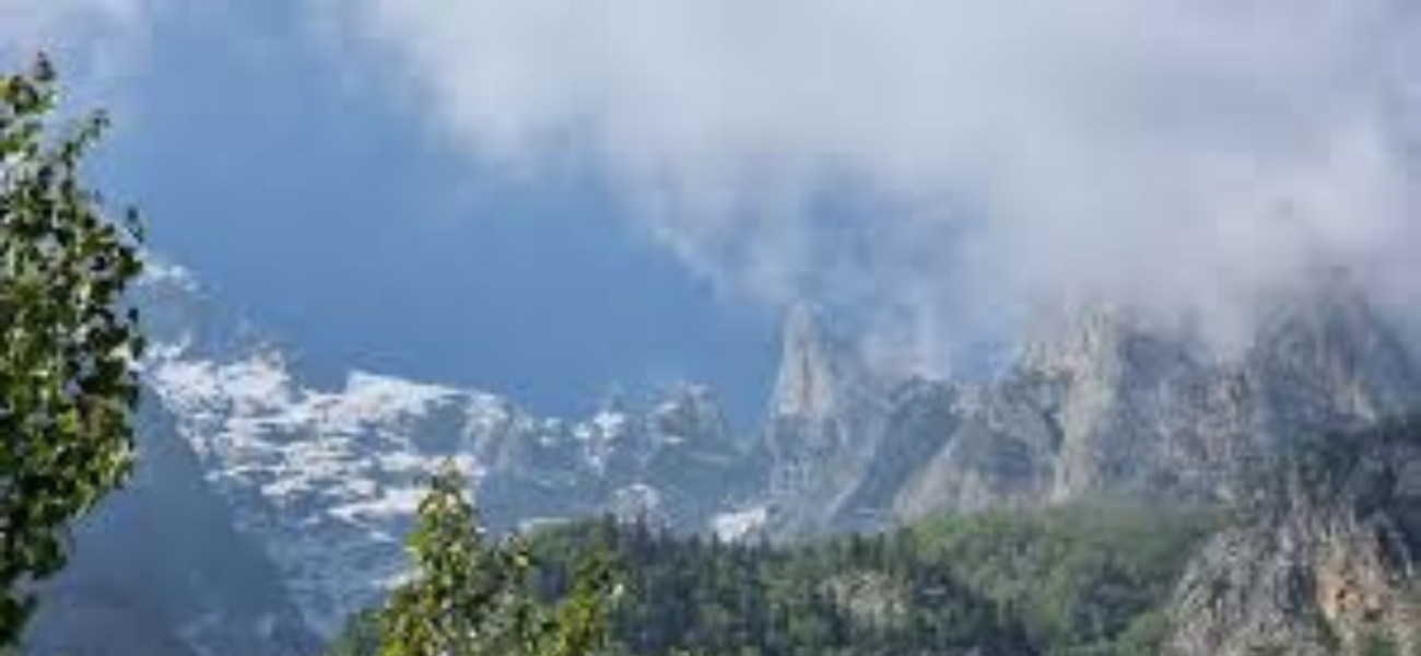 Nandanvan - Uttarkashi 9 Nandanvan – Uttarkashi