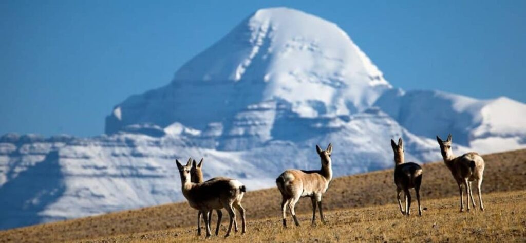 Askot Wildlife Sanctuary - Pithoragarh 2