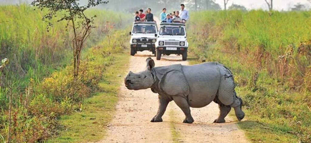 Jim Corbett National Park - Ramnagar 3