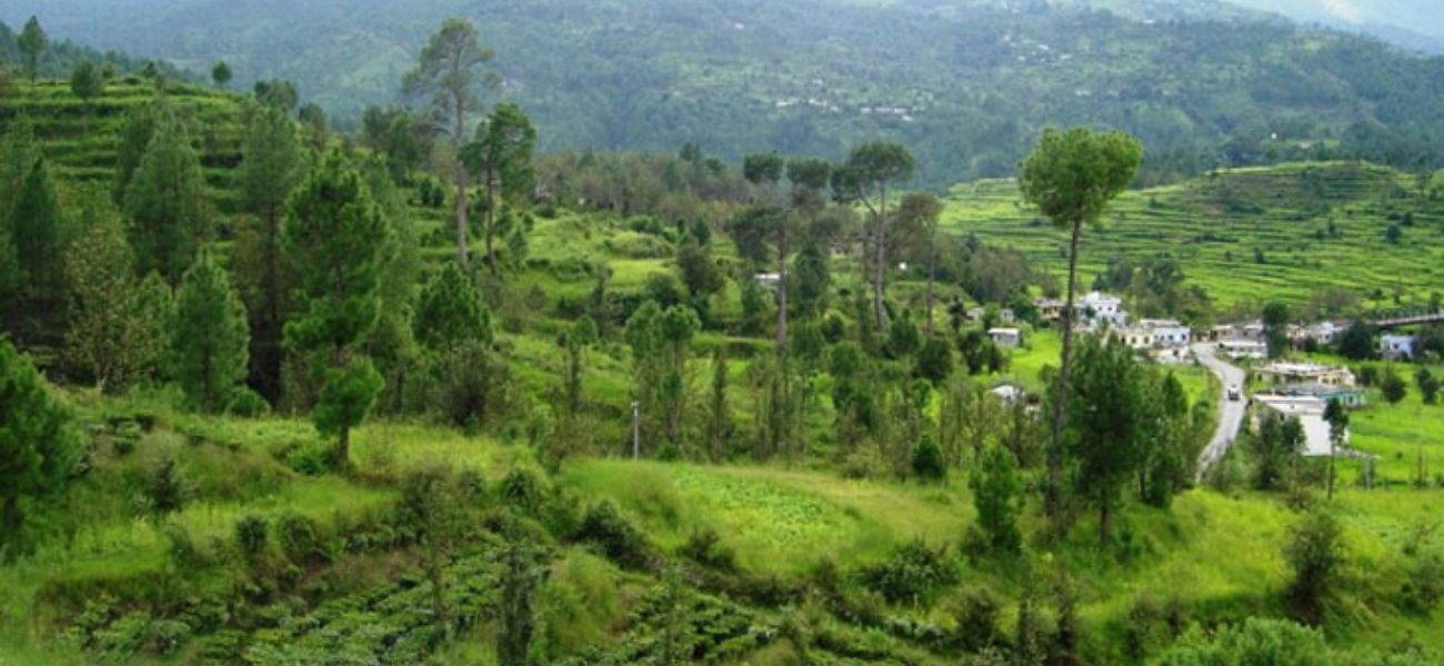 Bageshwar (Nearby Excursion) – Kausani