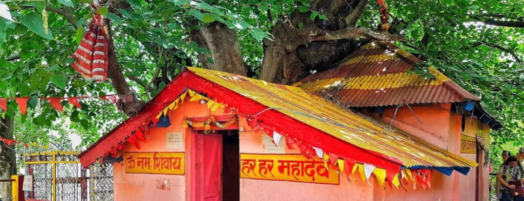 Kalpavriksha - Joshimath 2