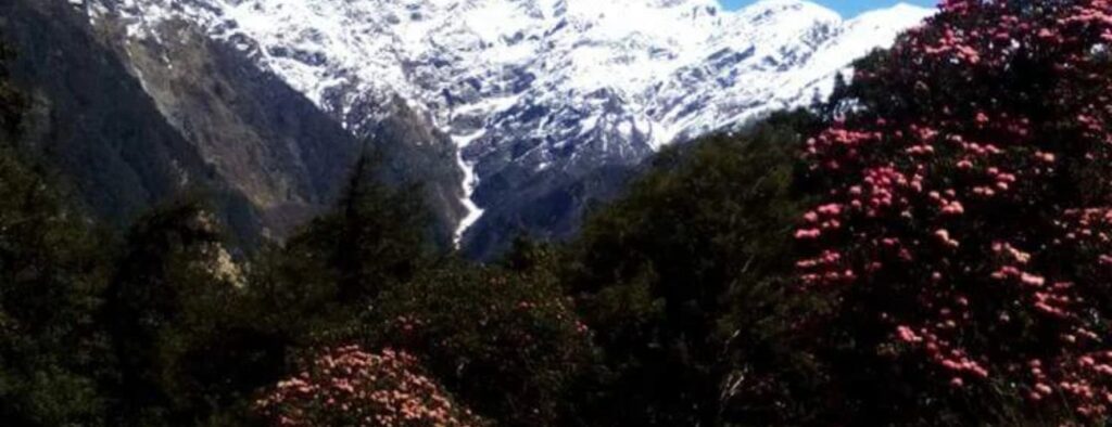 Baniyakund - Chopta 2