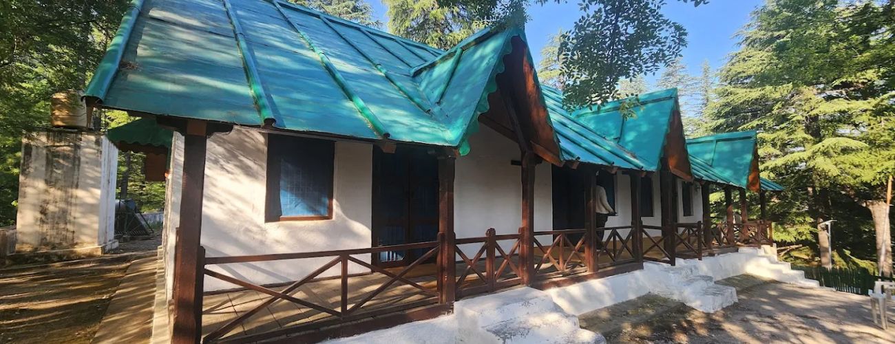 Kanasar Forest - Chakrata 7 Kanasar Forest – Chakrata