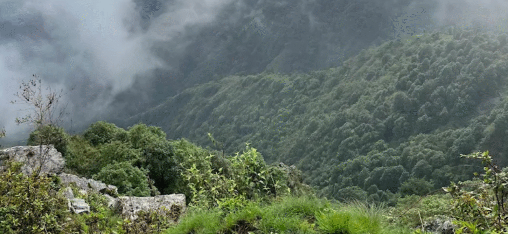 Hathipaon - Mussoorie 3