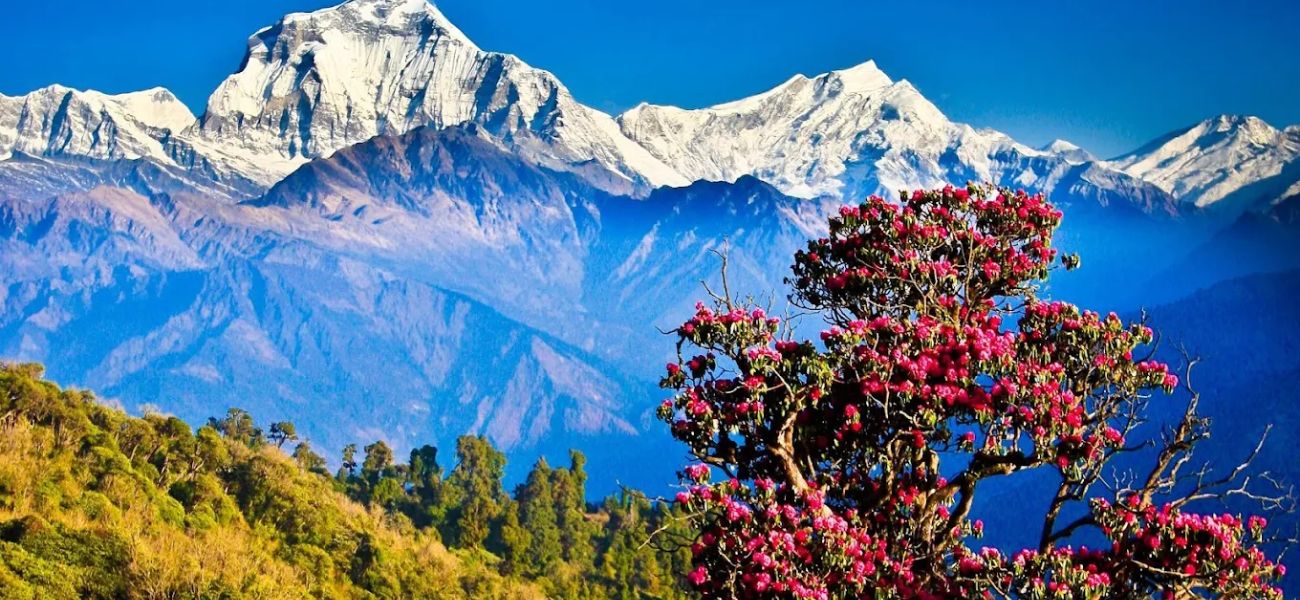 Snow View Point – Nainital