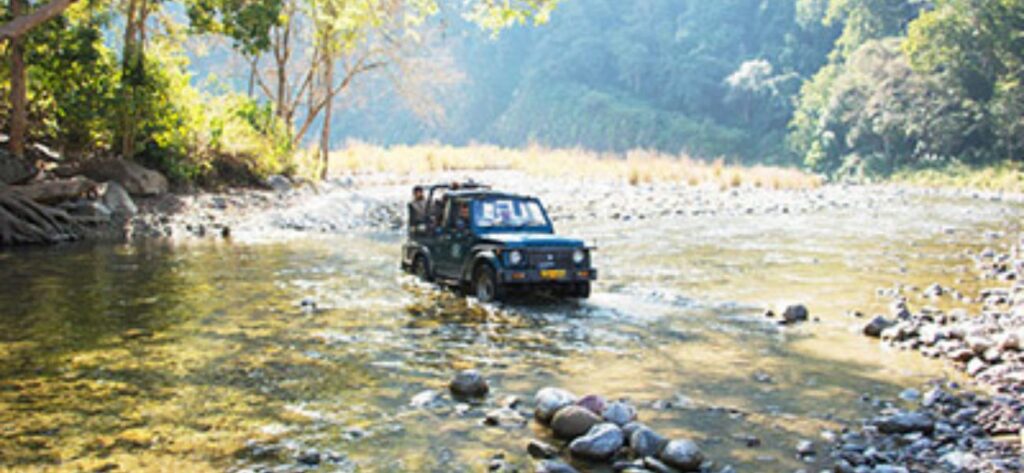 Dhikala Zone (Corbett) - Ramnagar 3