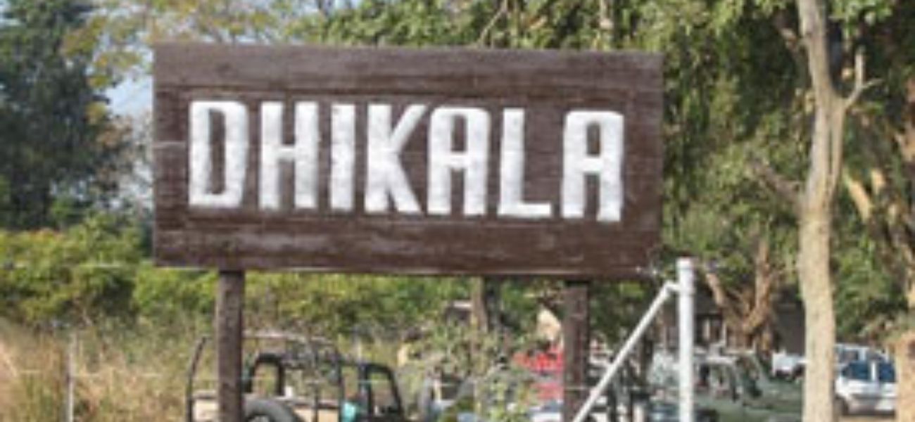 Dhikala Zone (Corbett) - Ramnagar 10 Dhikala Zone (Corbett) – Ramnagar