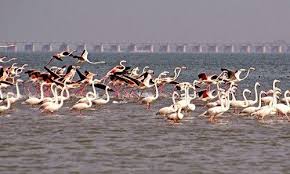 Neel Dhara Pakshi Vihar - Haridwar 1