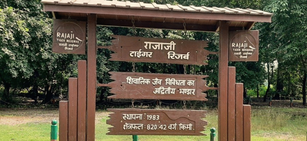 Rajaji National Park - Haridwar 3